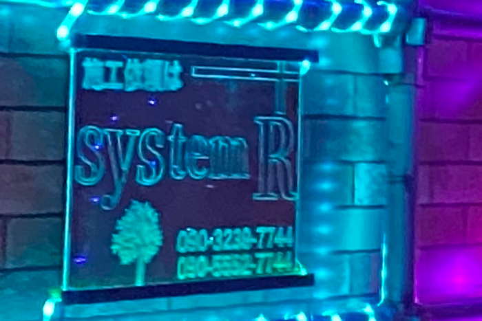 便利屋業・イルミネーション設置